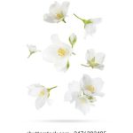 探索allbet香港:体验无与伦比的在线博彩乐趣 3nl1k36i3o