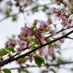 探索bet365亚洲娱乐:全方位了解在线博彩平台的魅力 76b79