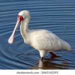 探索12bet壹贰博:在线博彩平台的全新体验 di95v8pj6