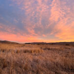 3d开奖号码乐彩网最新开奖结果查询与历史数据分析 80do1pi