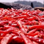 2007年猪年开奖结果全纪录 910sq2m5v8