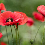 3d开奖号排三开奖最新结果查询与走势分析 bn0a0rnl