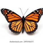 2007年3D彩票全年开奖历史数据完整回顾 bx09iq9