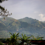 2009年度中国福利彩票开奖结果全记录 koxtjd5f5