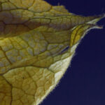 20092期开奖结果公布,幸运号码震撼揭晓 nkok1r