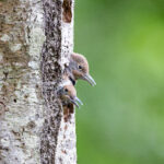 20095期大乐透开奖结果揭晓,大奖花落谁家引关注 ylx1qbcm